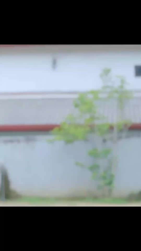 TikTok video thumbnail by tele_sl