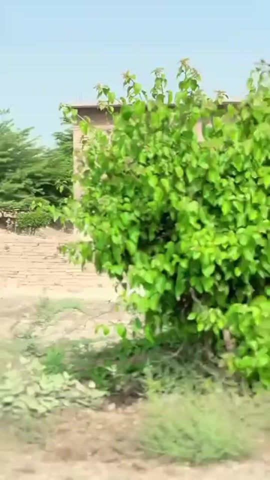 TikTok video thumbnail by user2737800349330