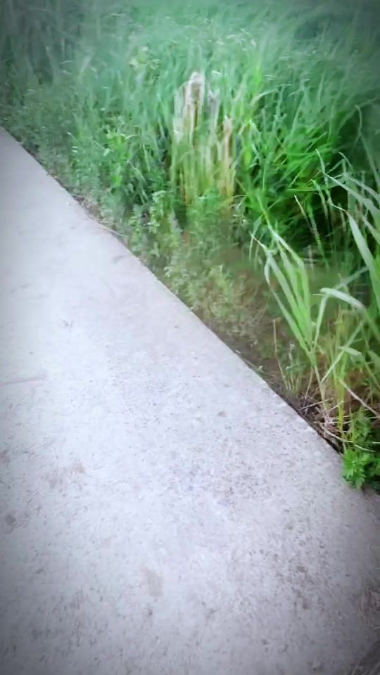 TikTok video thumbnail by sakthirano