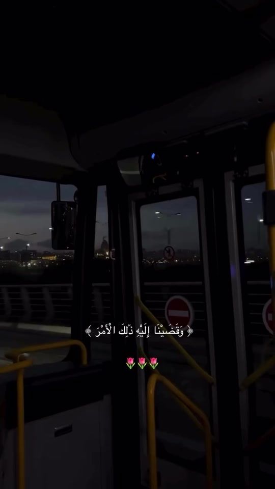 TikTok video thumbnail by sk18od