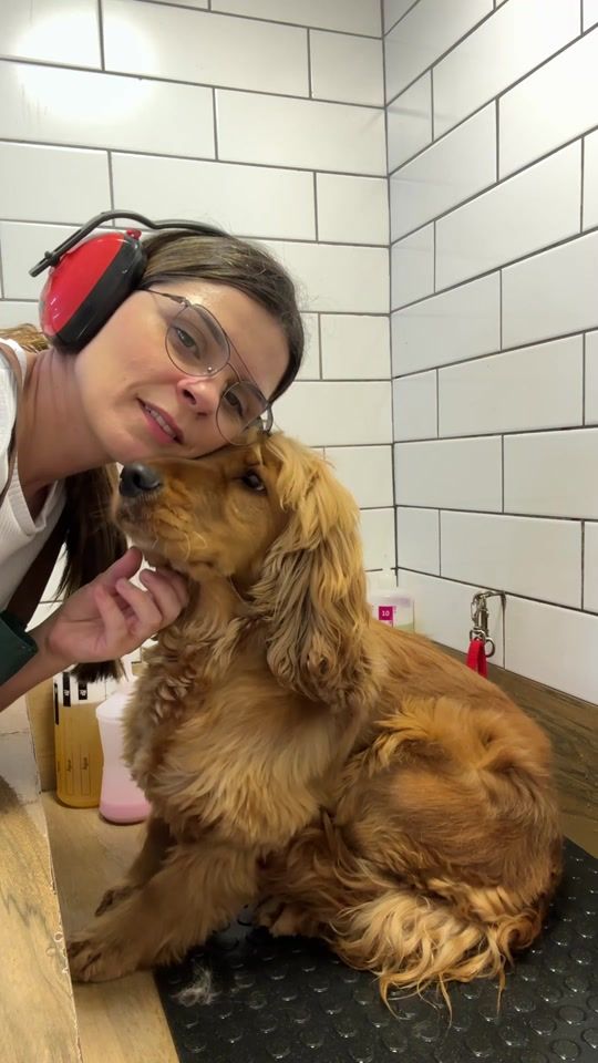 TikTok video thumbnail by toppetpetshop