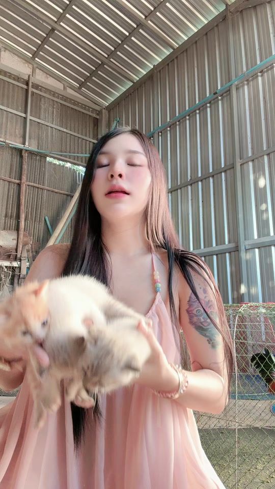 TikTok video thumbnail by pang_3338