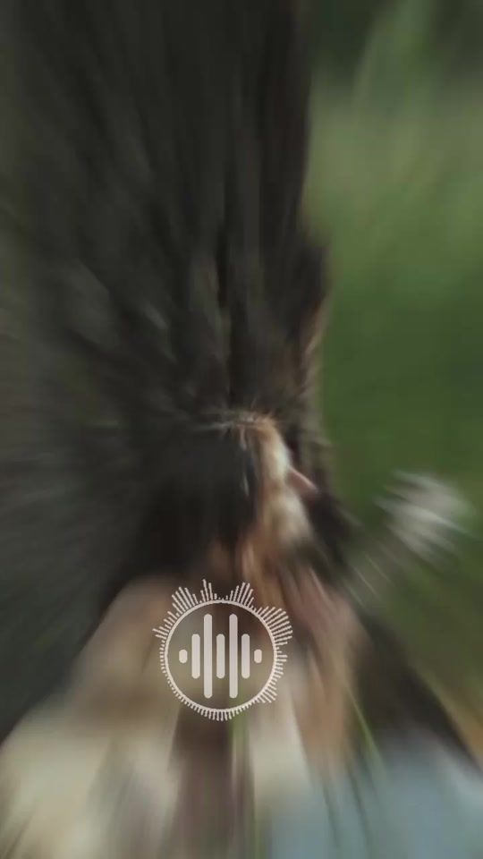 TikTok video thumbnail by alabanzas.reflexiones