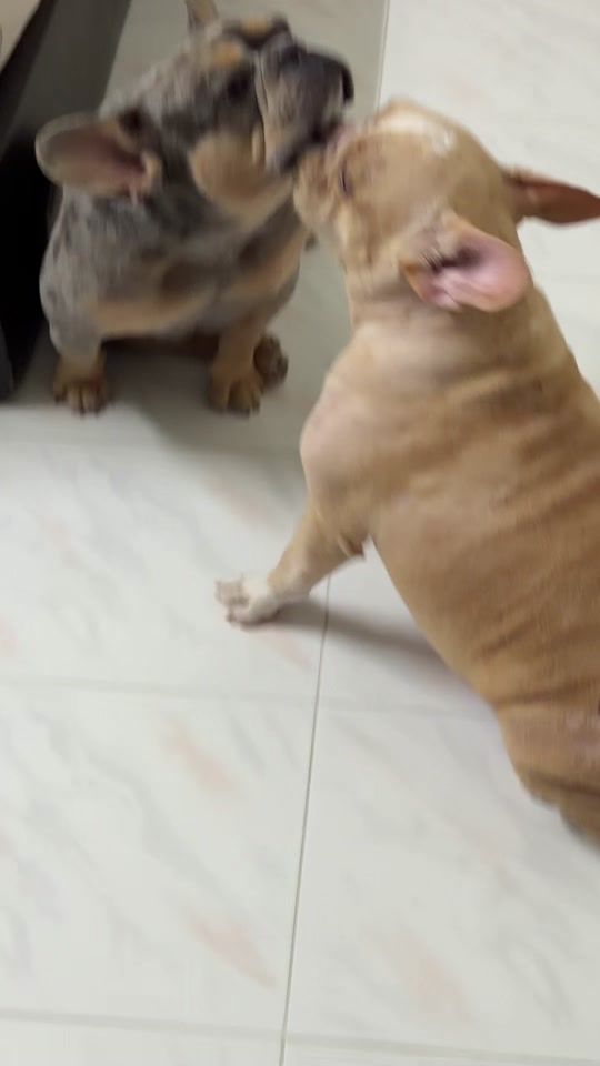 TikTok video thumbnail by nottyapple7