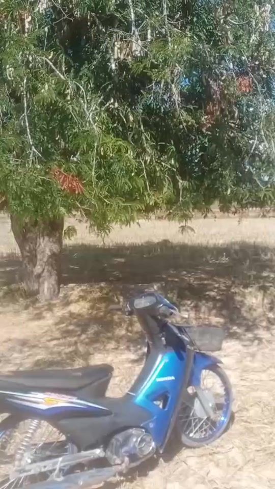 TikTok video thumbnail by user02094002064