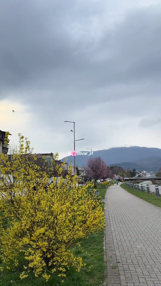 TikTok video thumbnail by gostivar_zf