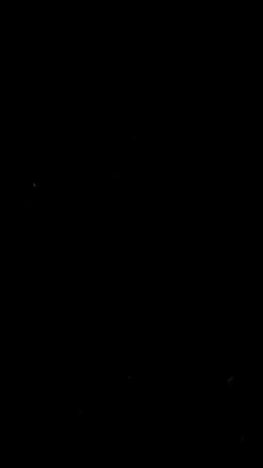 TikTok video thumbnail by _totoforever_