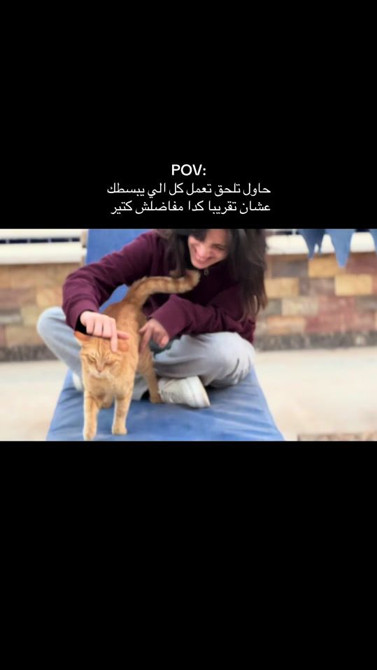 TikTok video thumbnail by rahma_mowafy