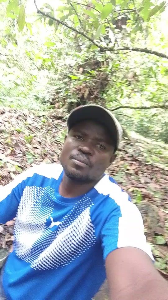 TikTok video thumbnail by koura.robinho5