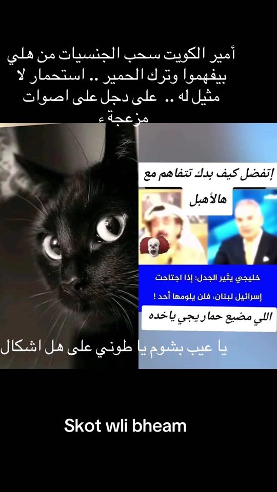 TikTok video thumbnail by haytham011