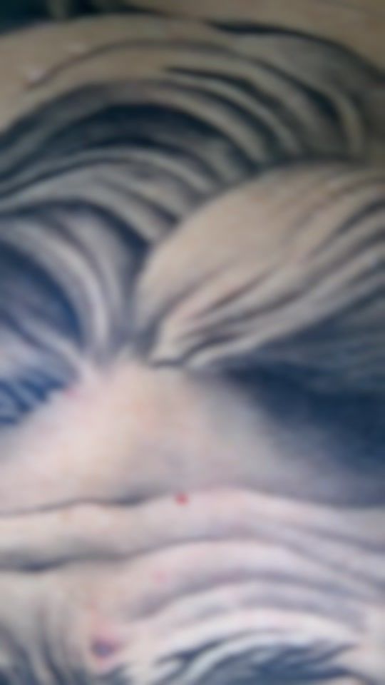 TikTok video thumbnail by jack.pham1102