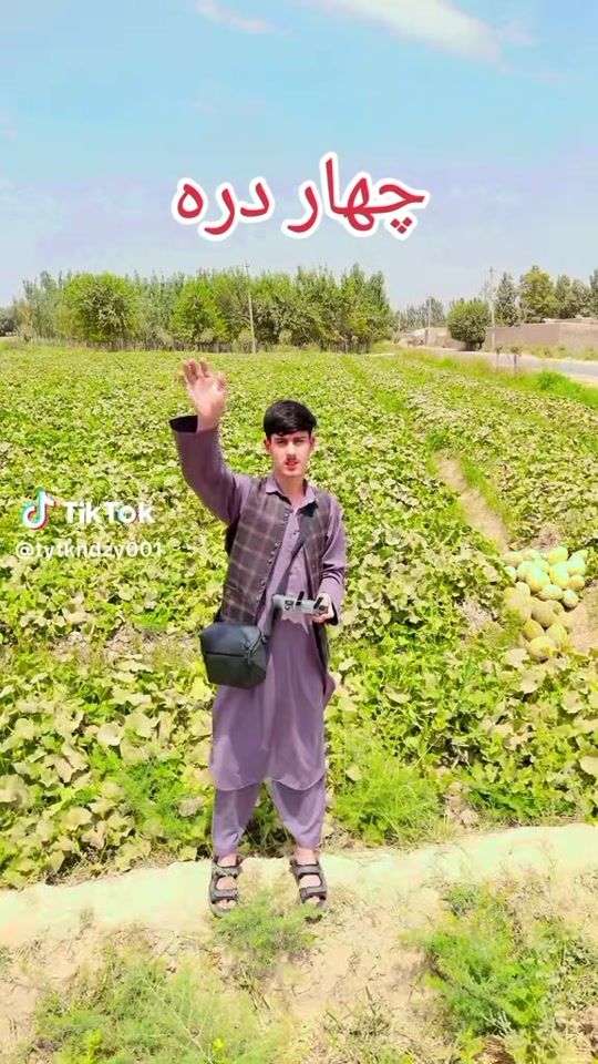 TikTok video thumbnail by user2616057779618