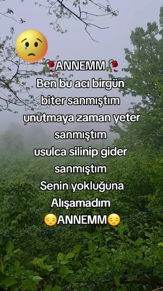 TikTok video thumbnail by 52sevda34