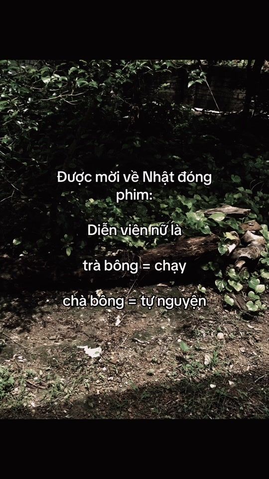 TikTok video thumbnail by chonhunter