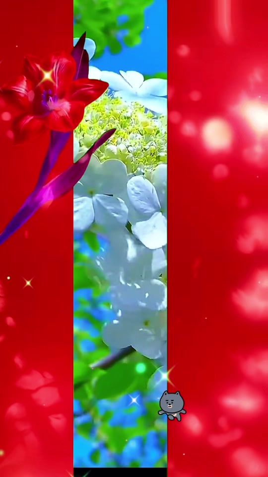 TikTok video thumbnail by guihong667