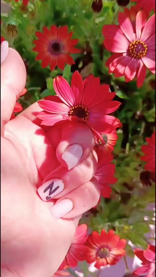 TikTok video thumbnail by konul0040_
