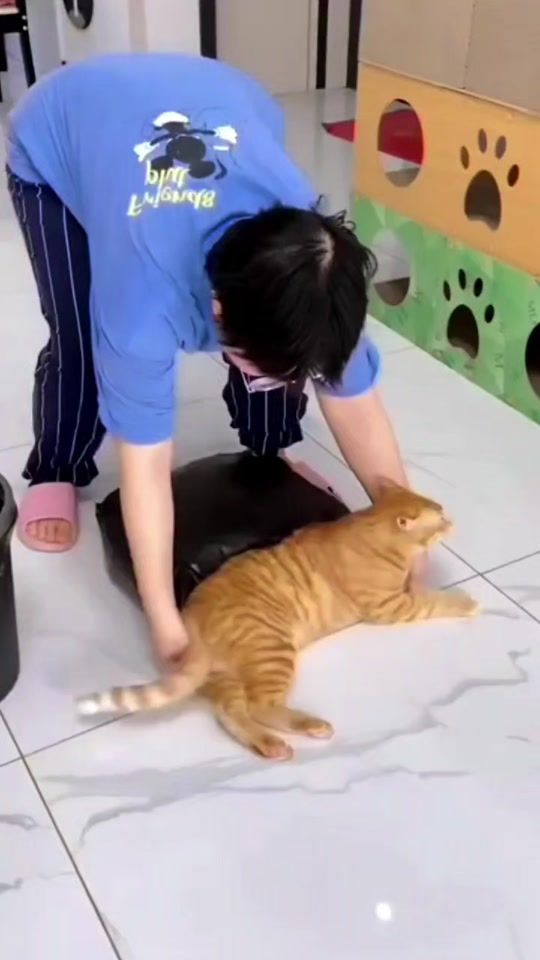 TikTok video thumbnail by zoo.sync