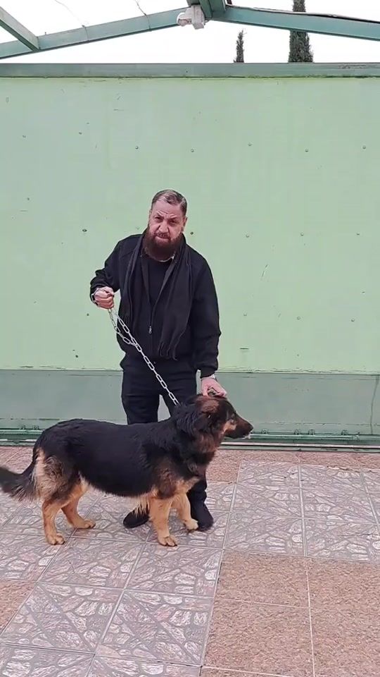 TikTok video thumbnail by sami.tabaza