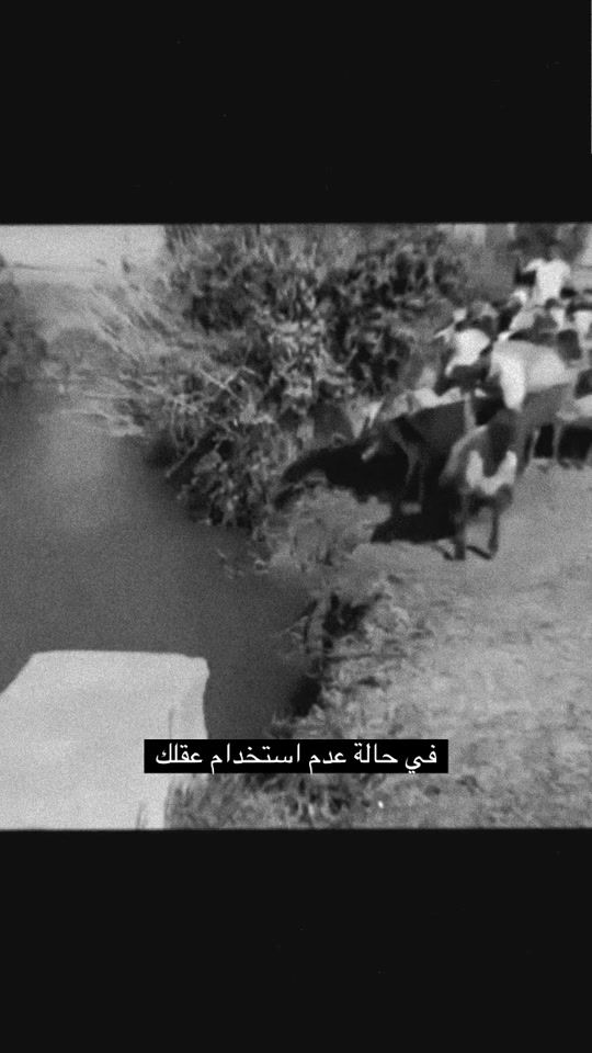 TikTok video thumbnail by cairotime