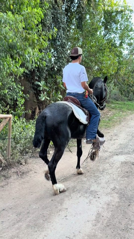 TikTok video thumbnail by darwin_421_