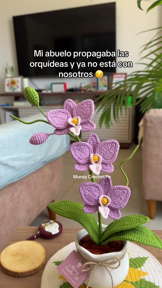 TikTok video thumbnail by munaycrochetpe