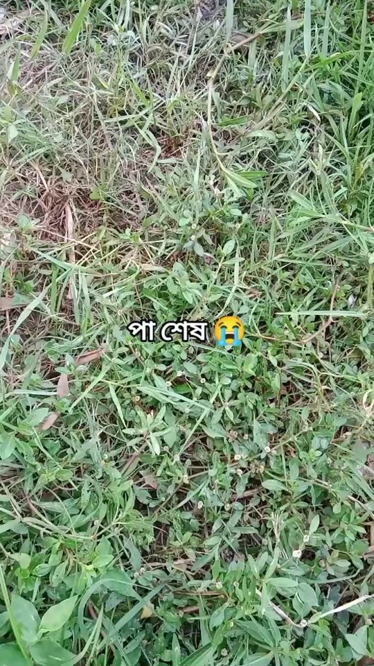 TikTok video thumbnail by likhon__8