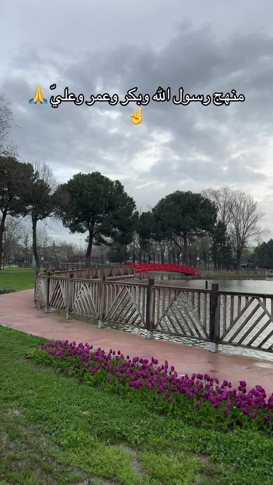 TikTok video thumbnail by zanb_161