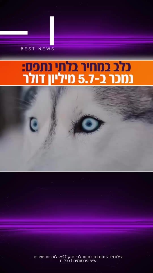 TikTok video thumbnail by titi.productions