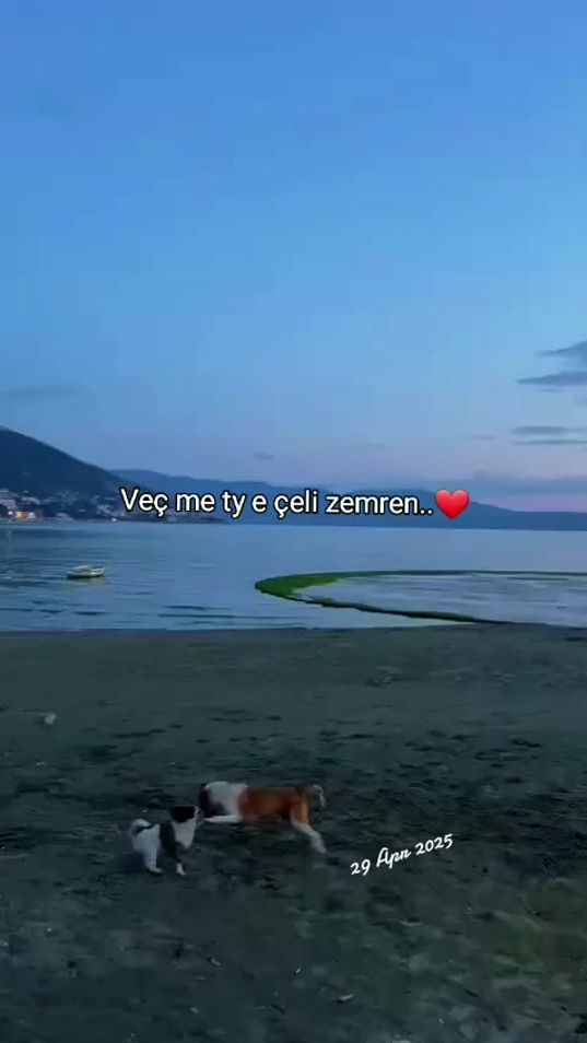 TikTok video thumbnail by _jonna__a