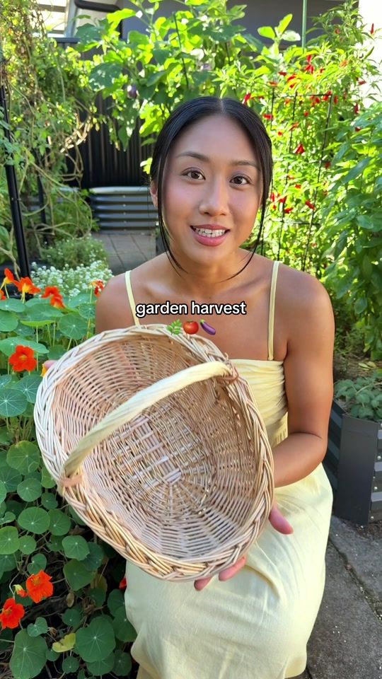 TikTok video thumbnail by thrivingonplants