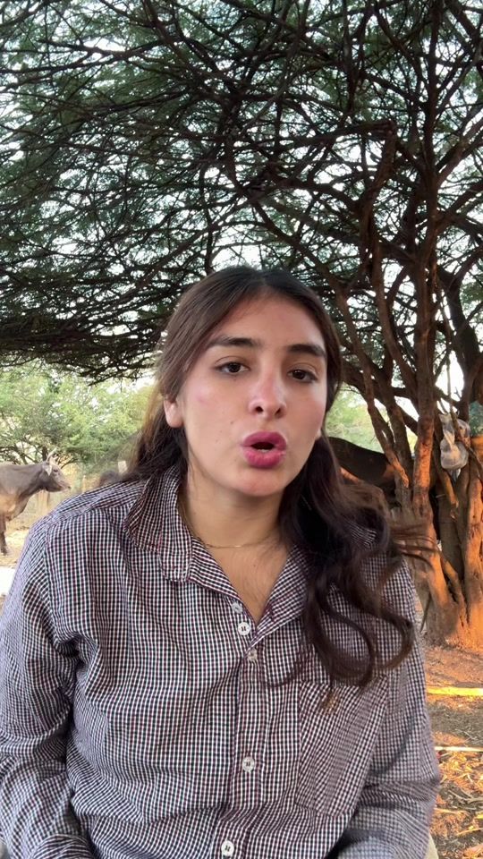 TikTok video thumbnail by anni_delcampo