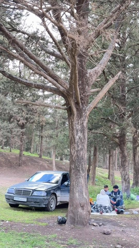 TikTok video thumbnail by frah0_