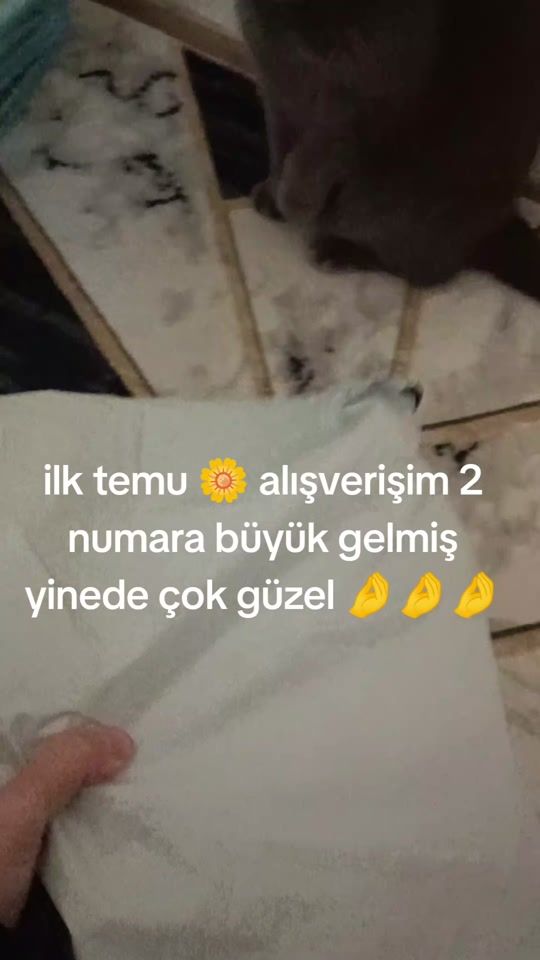 TikTok video thumbnail by dilarabrt1