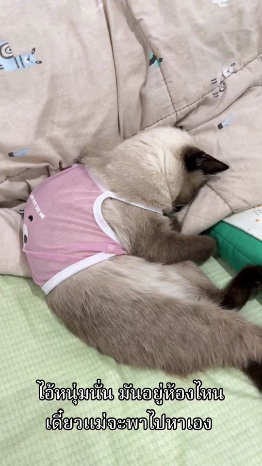 TikTok video thumbnail by mamiew459