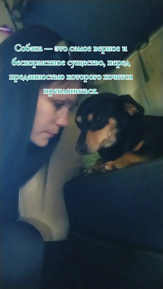 TikTok video thumbnail by sofik_passat_b5
