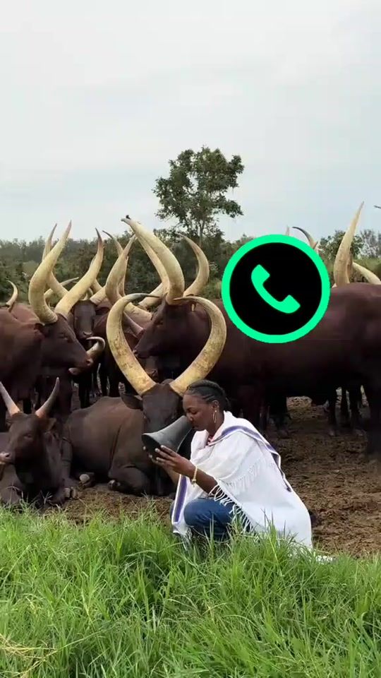 TikTok video thumbnail by nyagatarboy
