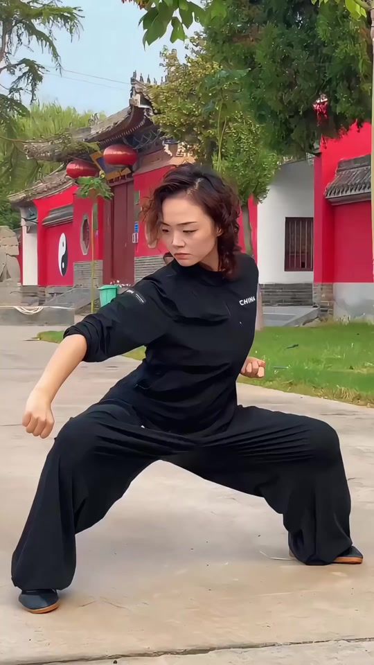 TikTok video thumbnail by lulutaichi