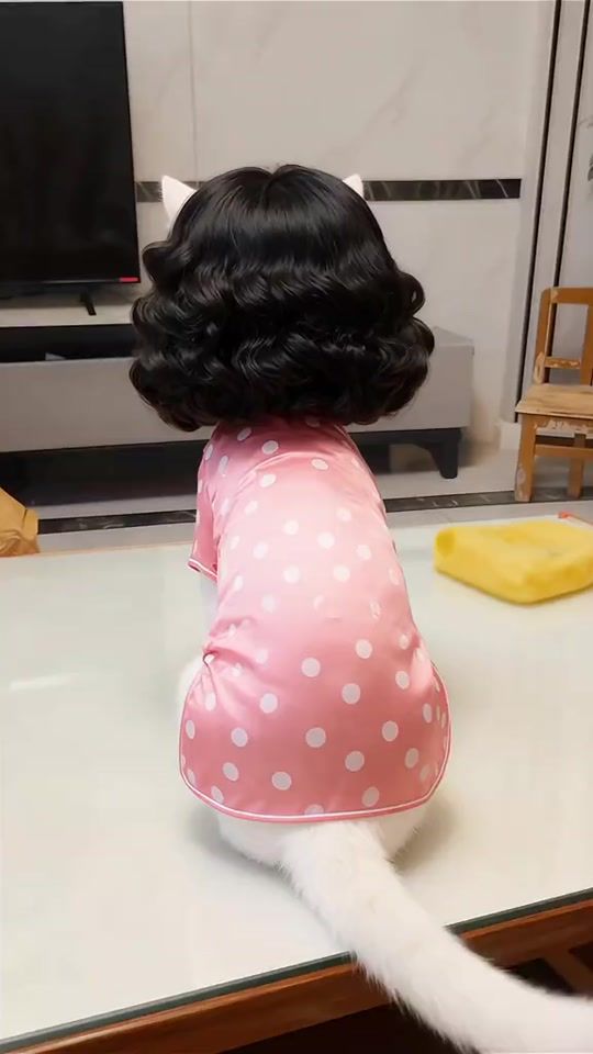 TikTok video thumbnail by shortsfunshow
