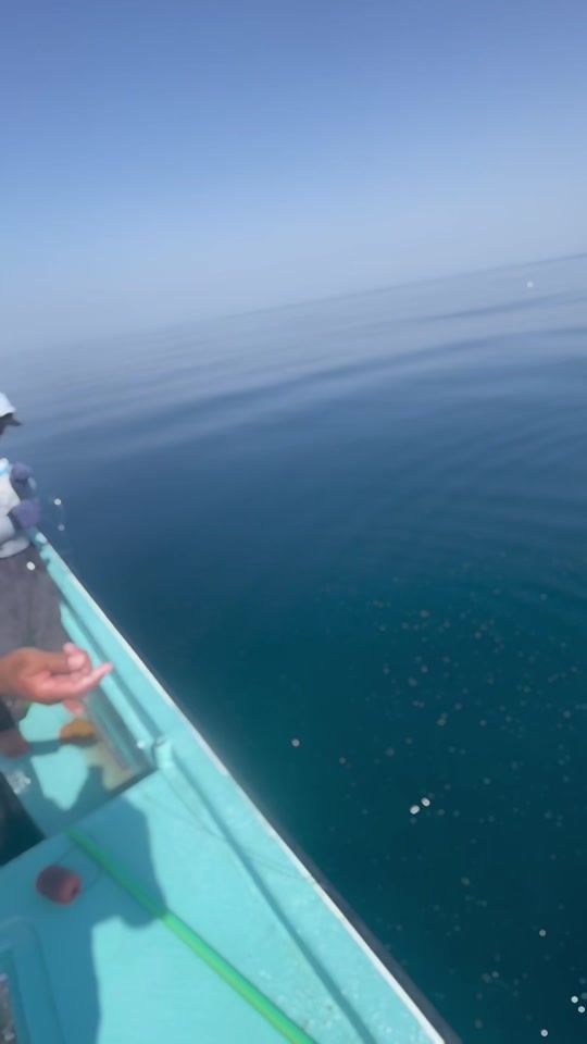 TikTok video thumbnail by rh68h
