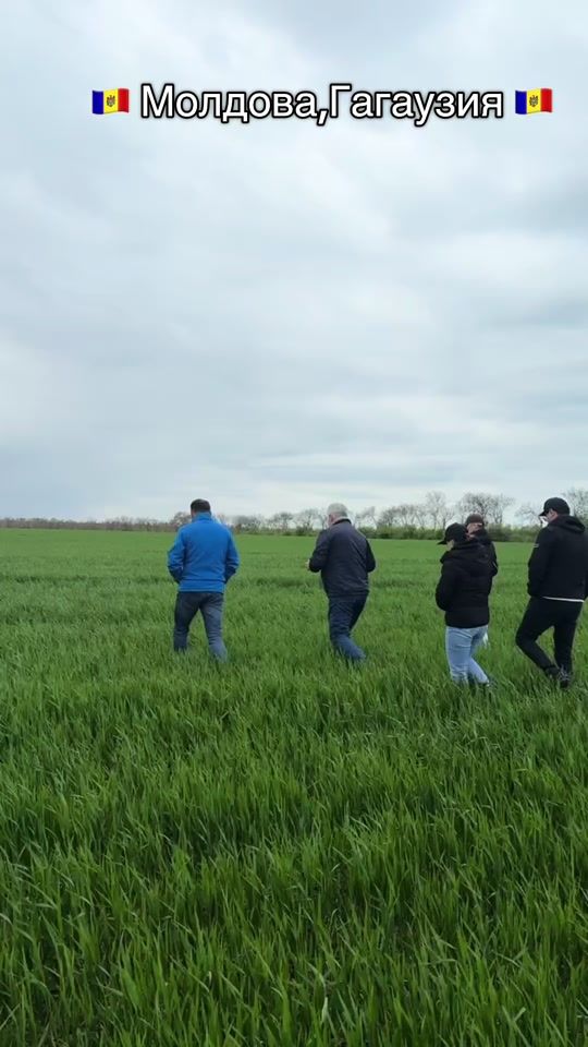 TikTok video thumbnail by cumnuc_agro
