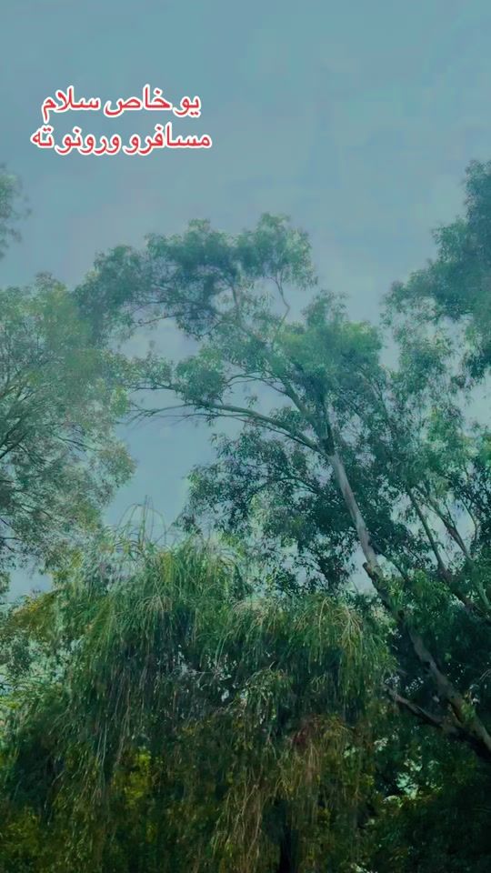 TikTok video thumbnail by rohullahshinwair6