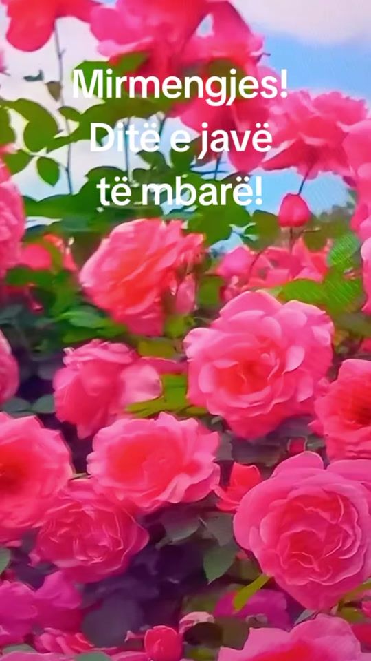 TikTok video thumbnail by fiqretg