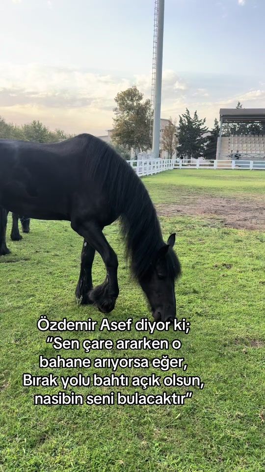 TikTok video thumbnail by 1tsabi01