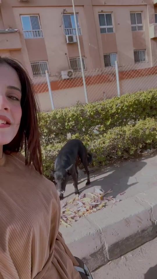 TikTok video thumbnail by baherrazaiin