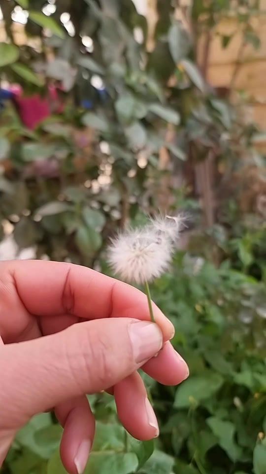 TikTok video thumbnail by modgn0