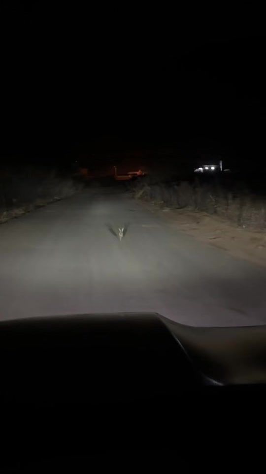TikTok video thumbnail by nw_to