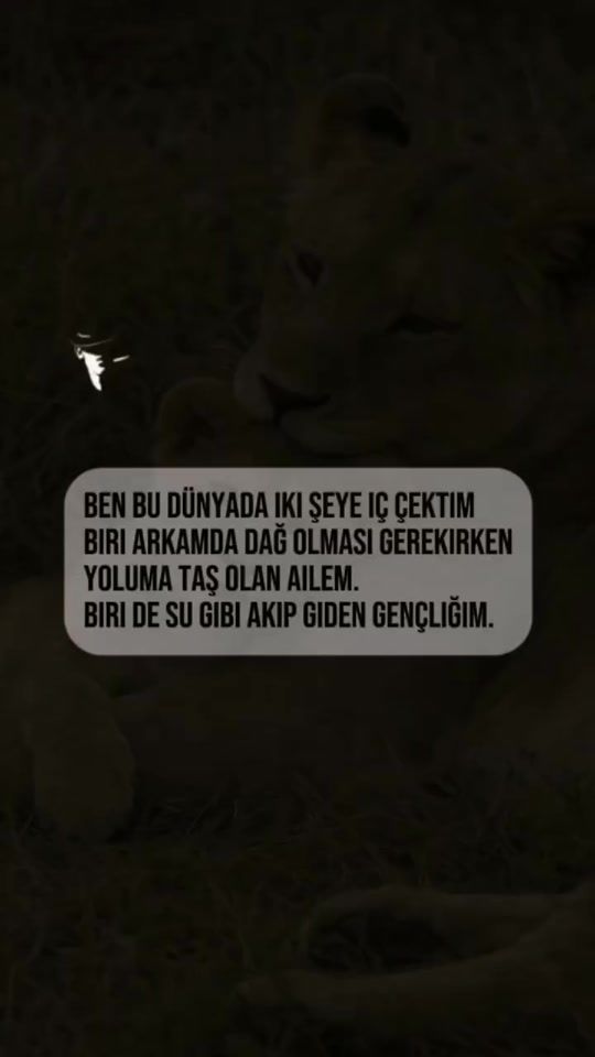 TikTok video thumbnail by yorgunbays
