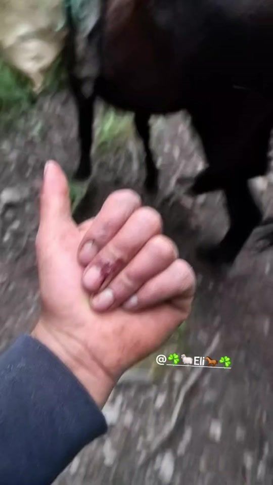 TikTok video thumbnail by elizabethsam27