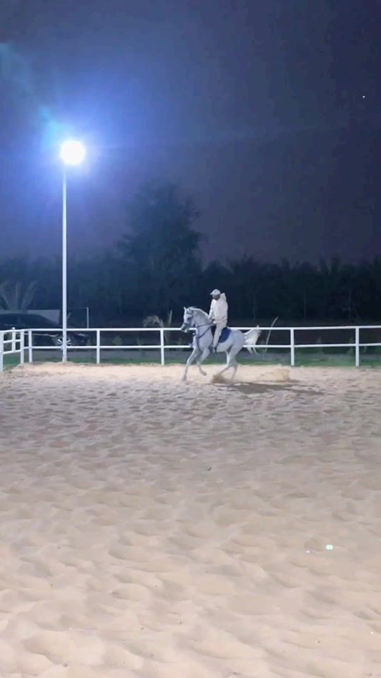 TikTok video thumbnail by khizar.abbas.khichi