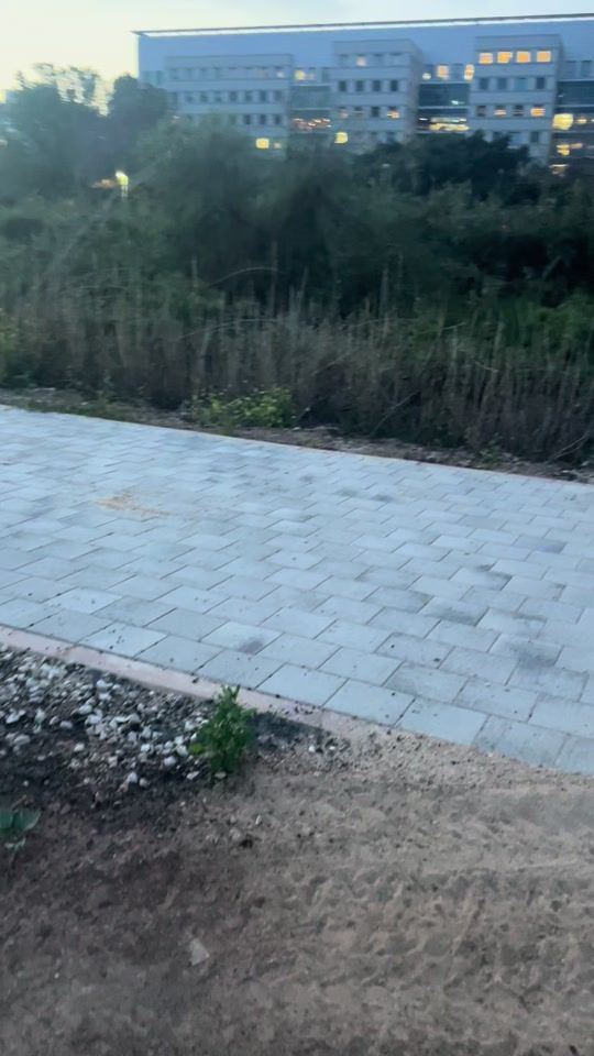 TikTok video thumbnail by plst54